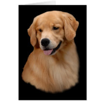 Carte de voeux de Frisco de golden retriever
