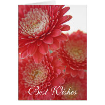 Carte de voeux de Gerbera