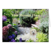 Carte de voeux de jardin de caniche