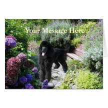 Carte de voeux de jardin de caniche