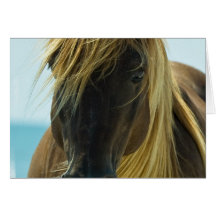 Carte de voeux de mustang