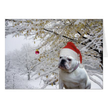 Carte de voeux de Noël de chienchien