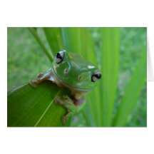 Carte de voeux de photo de grenouille