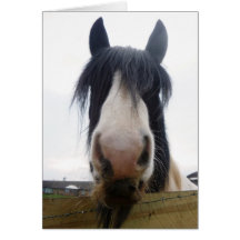 Carte de voeux de portrait de cheval