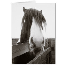 Carte de voeux de portrait de cheval (sépia)