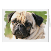 Carte de voeux de race de chien de carlin
