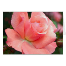 Carte de voeux de rose de rose