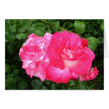Carte de voeux de roses rouges