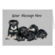 Carte de voeux de Schnauzer miniature