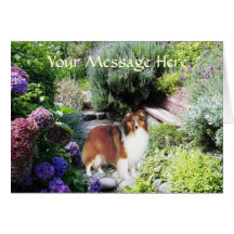 Carte de voeux de Sheltie