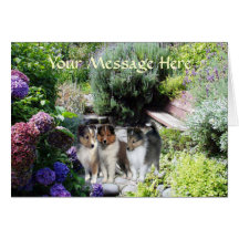 Carte de voeux de Sheltie