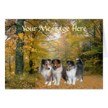 Carte de voeux de Sheltie