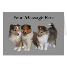 Carte de voeux de Sheltie