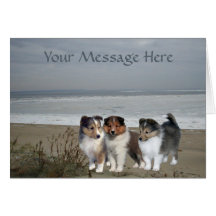Carte de voeux de Sheltie