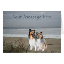 Carte de voeux de Sheltie