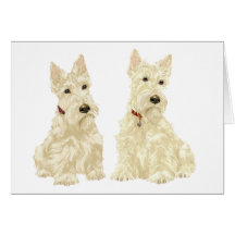 Carte de voeux de Terrier d'écossais