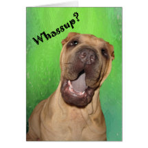 Carte de voeux de Whassup