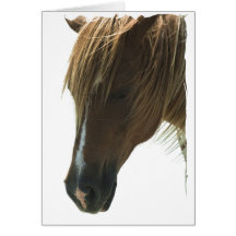 Carte de voeux douce de cheval de mustang