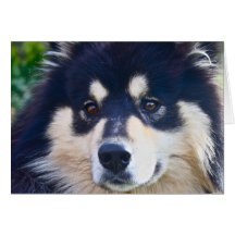 Carte de voeux finlandaise douce de Lapphund
