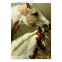 Carte de voeux grise de cheval de concours complet
