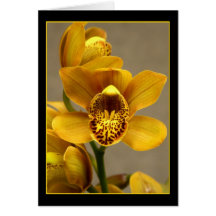 Carte de voeux jaune d'orchidée