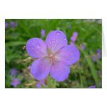 Carte de voeux lilas de fleur