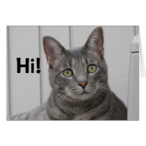 Carte de voeux mignonne de chat cartes
