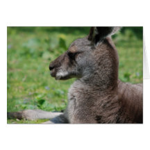 Carte de voeux mignonne de kangourou