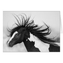 Carte de voeux noire et blanche de cheval sauvage 