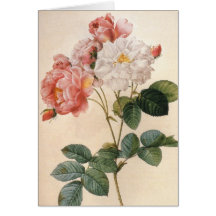 Carte de voeux rose de cru