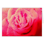 Carte de voeux rose de rhapsodie
