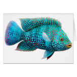 Carte de voeux verte de Cichlid du Texas