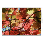 Carte de voeux vierge de feuillage d'automne