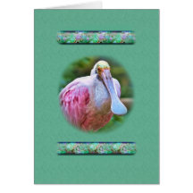 Carte d'oiseau de spatule rose