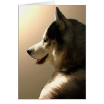 Carte enrouée de Malamute d'Alaska de carte person