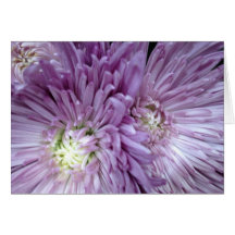 Carte géniale pourpre de fleur