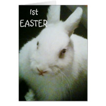CARTE HEUREUSE de LAPIN de "?ère PÂQUES"