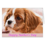 Carte heureuse du chiot CKCS du jour de mère