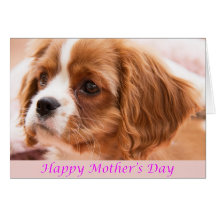 Carte heureuse du chiot CKCS du jour de mère