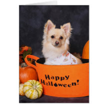 Carte mignonne de chien de Halloween