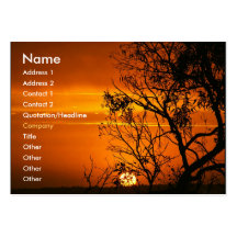 Carte orange de profil de coucher du soleil cartes de visite professionnelles