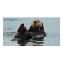 Carte photo d'Alaska de loutre de mer Cartes De Vœux Avec Photo