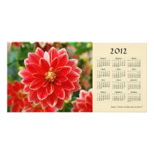 Carte photo de calendrier du dahlia 2012 cartes de vœux avec photo