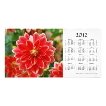 Carte photo de calendrier du dahlia 2012 photocartes personnalisées