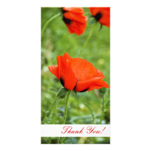 Carte photo de Merci Cartes Avec Photo