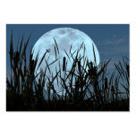 Carte photo entre de lune et de marais ATC Cartes De Visite Professionnelles