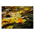 Carte photo léger d'ATC d'automne Carte De Visite