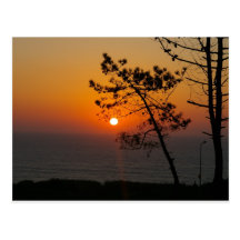 Carte postale