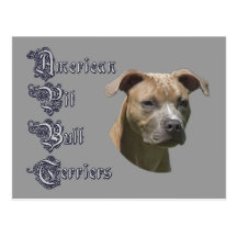 Carte postale américaine de Terrier (APBT) de pitb