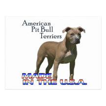 Carte postale américaine de Terrier de pitbull (AP